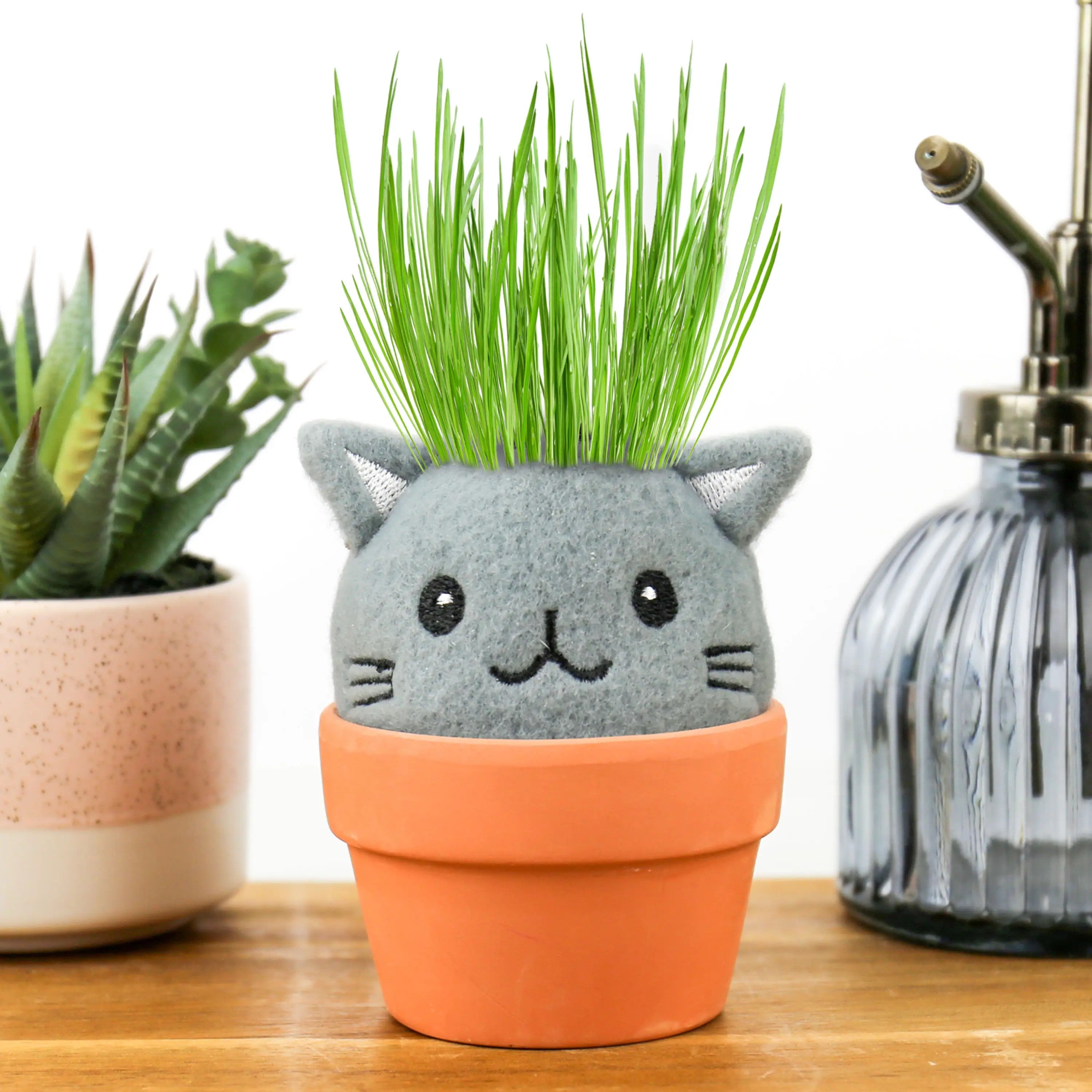 pot plant grow kit Gift Republic Grow Pals Cat Grow Kit