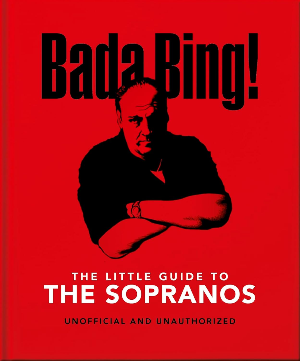 Little Guide To The Sopranos Book