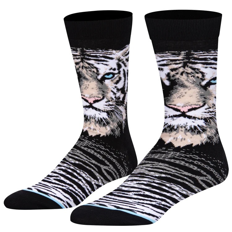 White Bengal Tiger Men's Socks