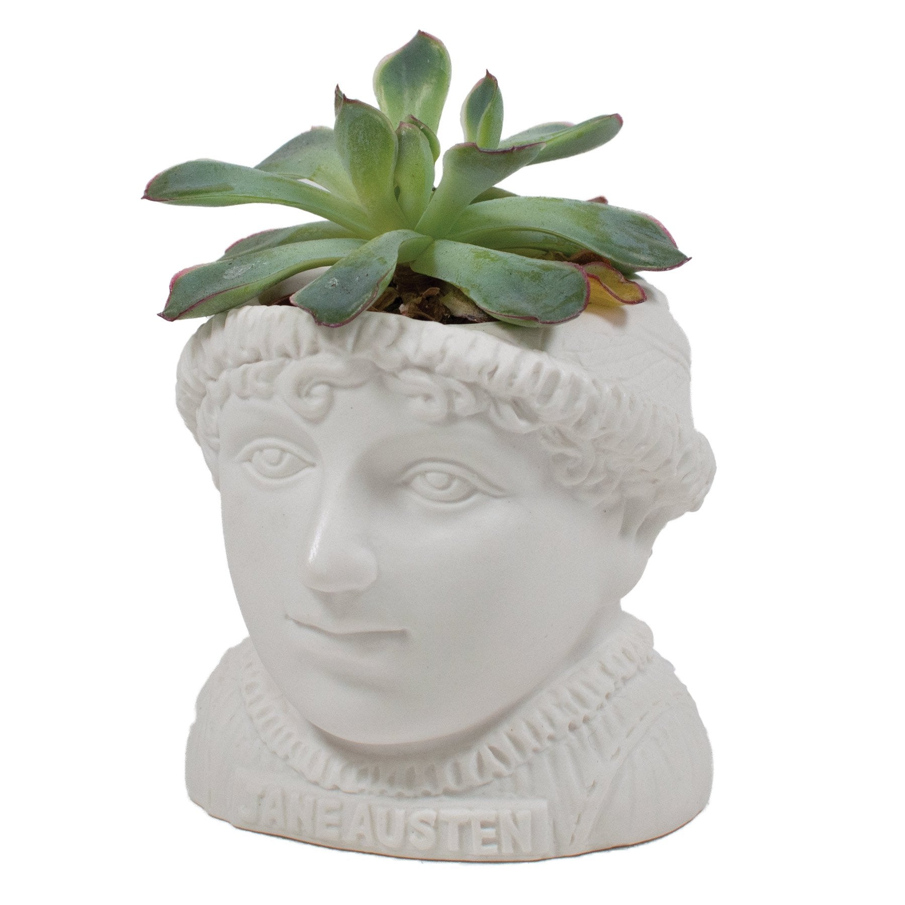 succulents by jane Jane Austen Planter
