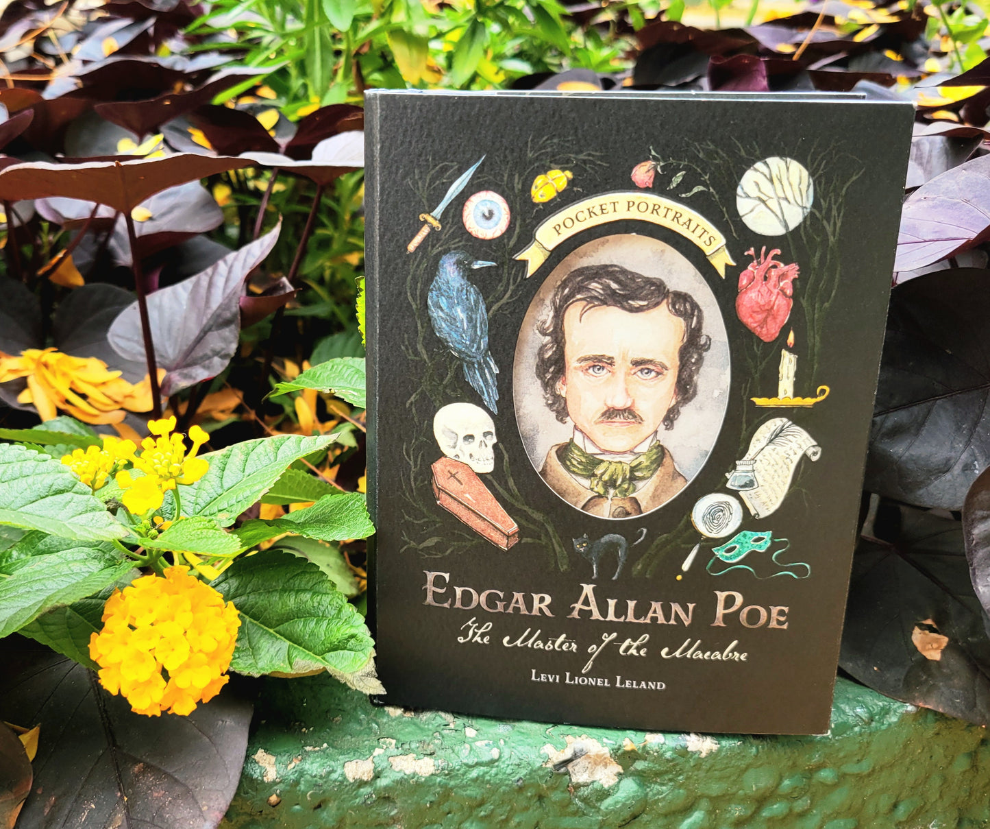 Pocket Portraits Edgar Allan Poe Book