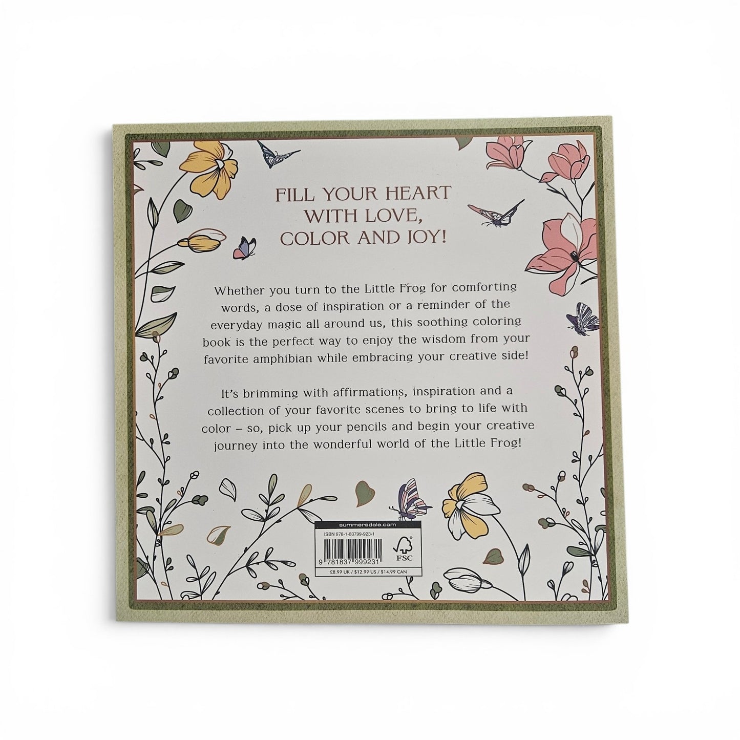 Little Frog Coloring Book