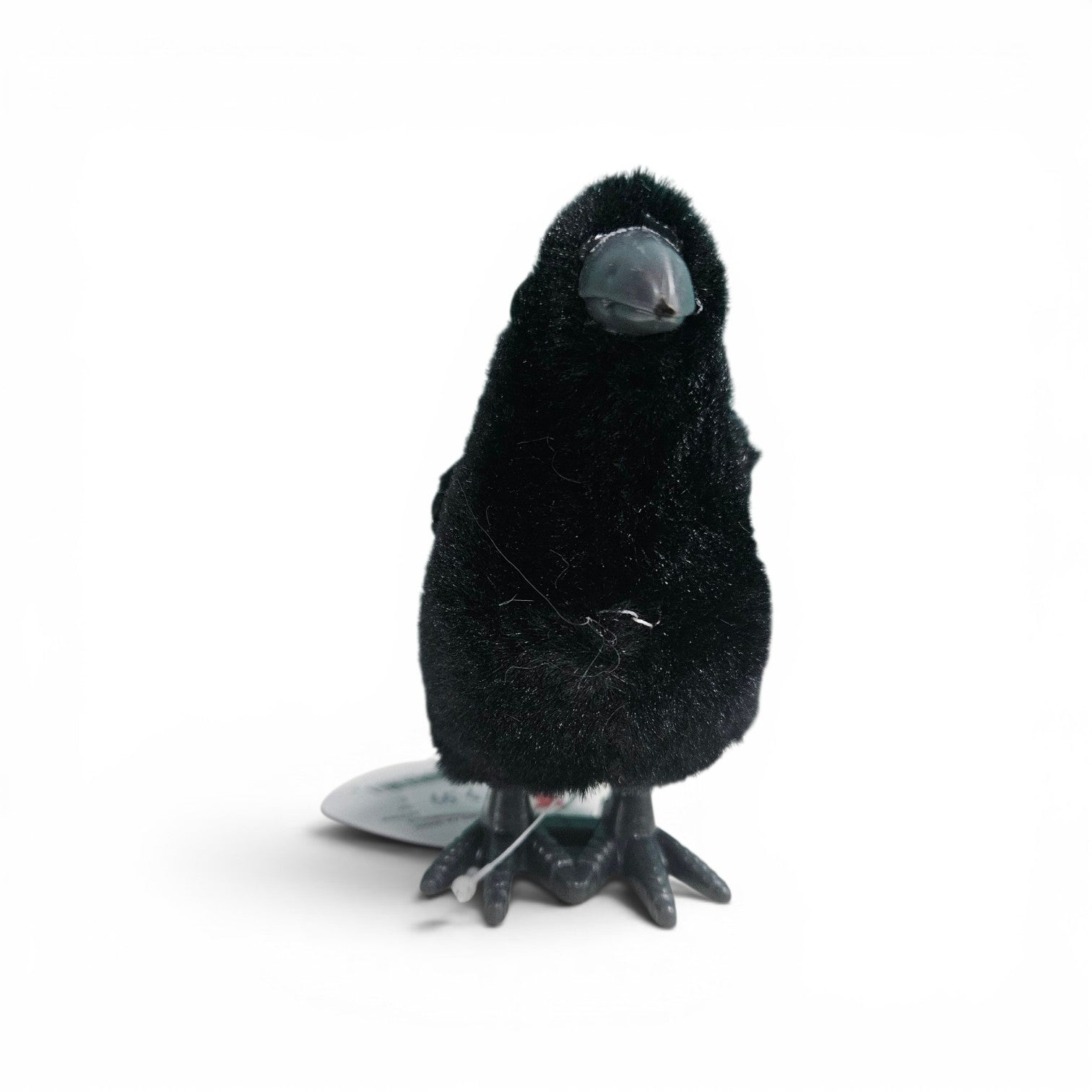 Wind-Up Raven