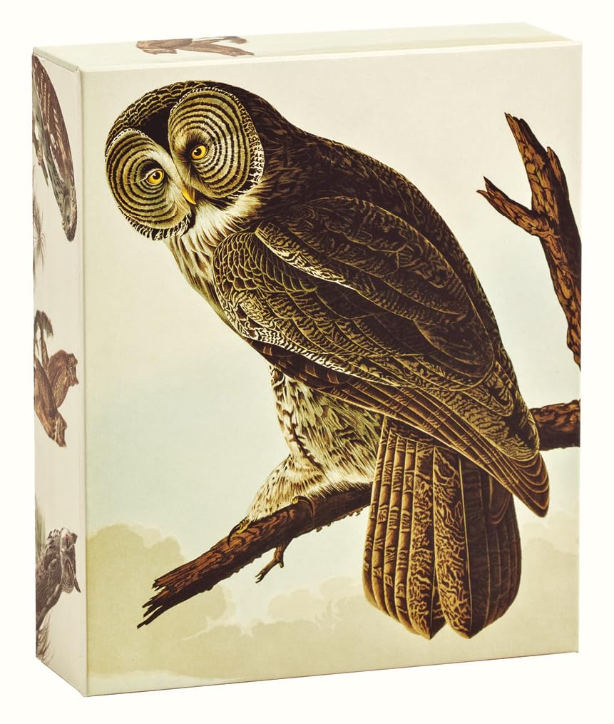 Audubon Owls Notecard Set