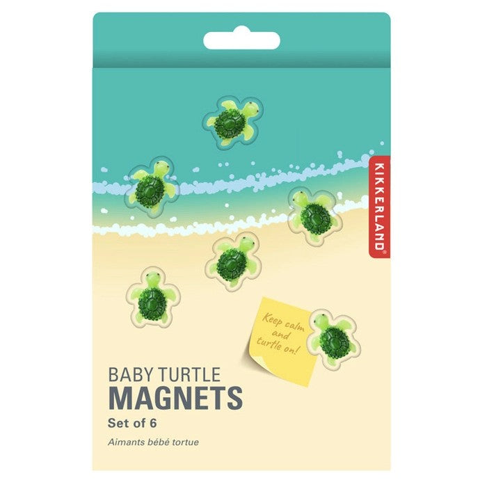 Baby Turtle Magnets Set Of 6