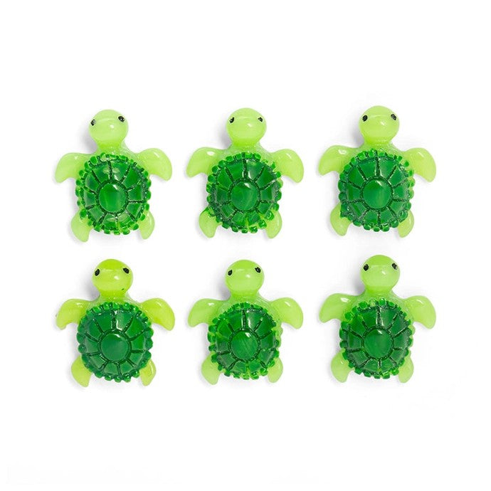 Baby Turtle Magnets Set Of 6