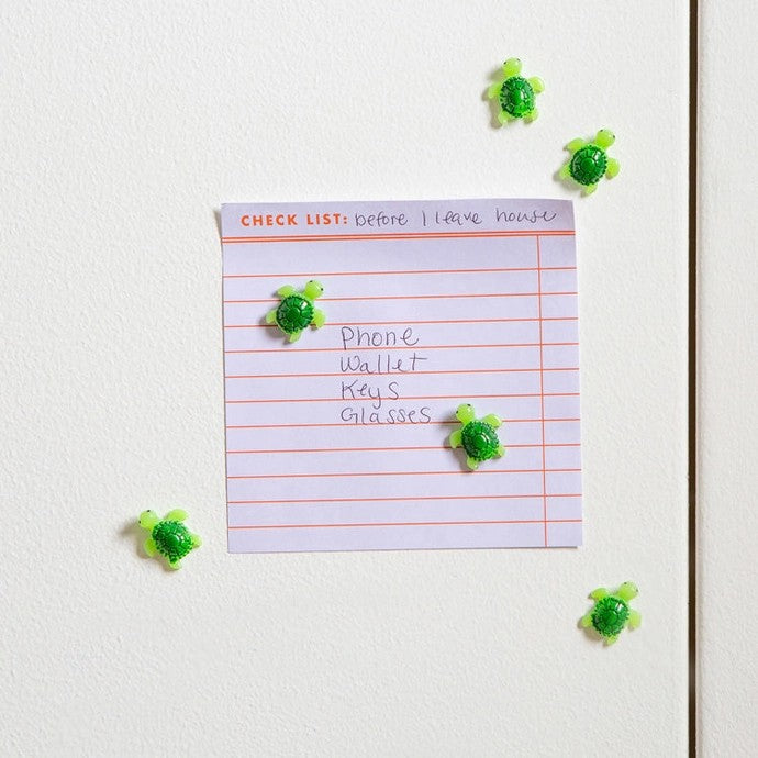 Baby Turtle Magnets Set Of 6