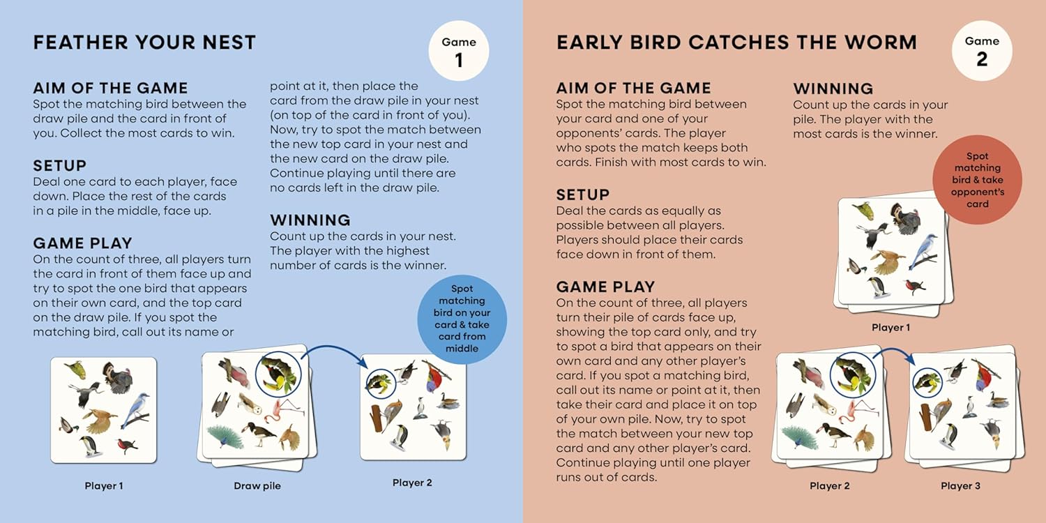 Bird Spotter Game