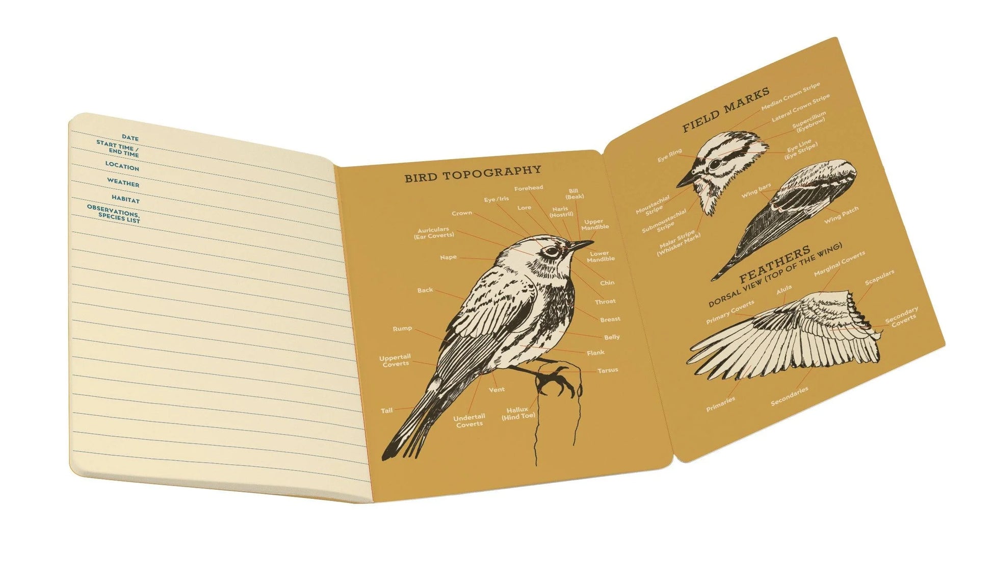 Birdwatching Pocket Notebook