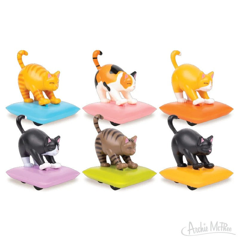 Biscuit Cats Blind Box