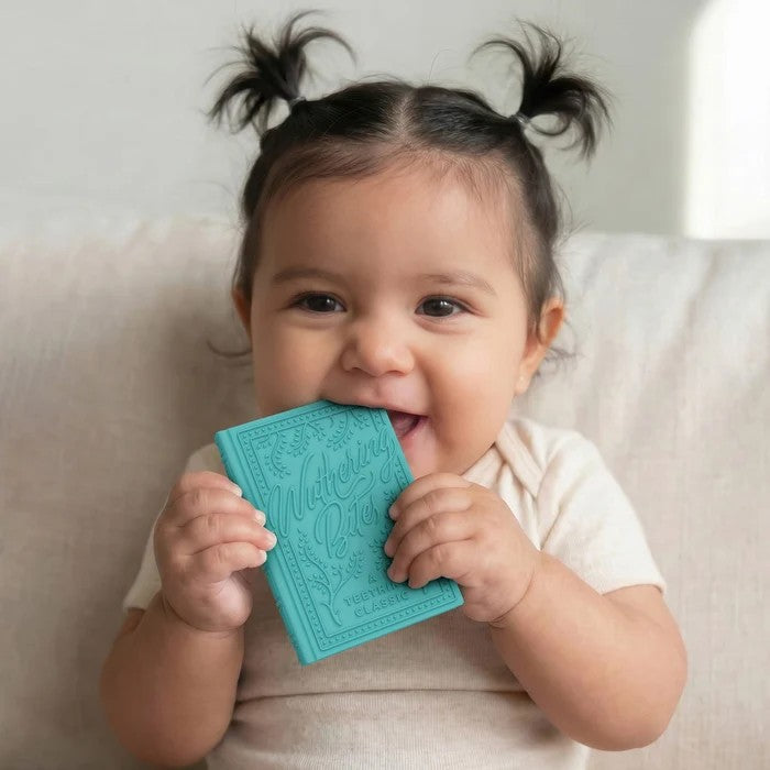 Book Bites Teether