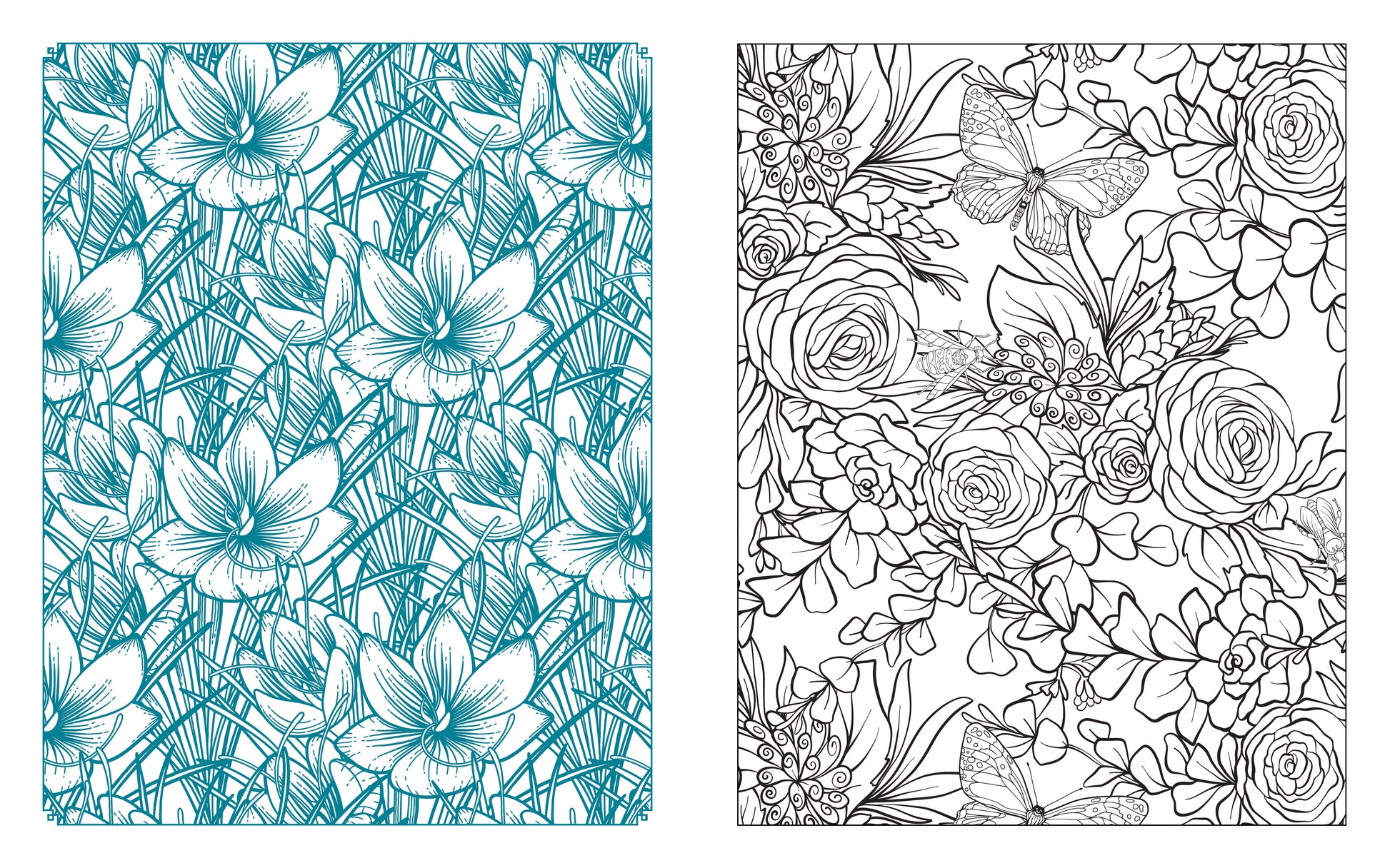 Botanical Blooms Coloring Book