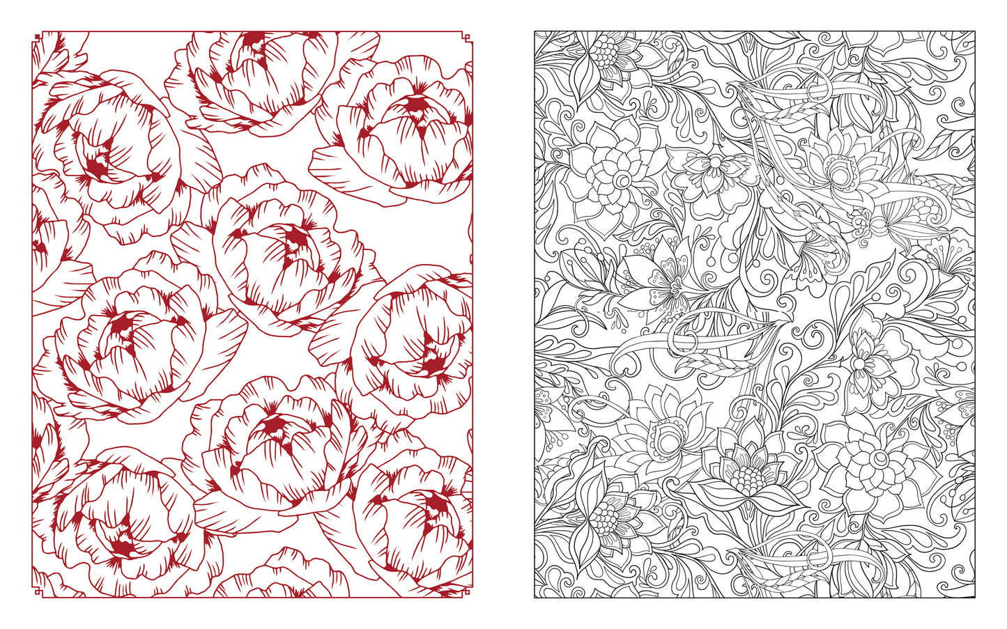 Botanical Blooms Coloring Book