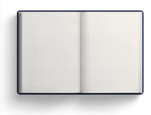 British Insects A6 Notebook