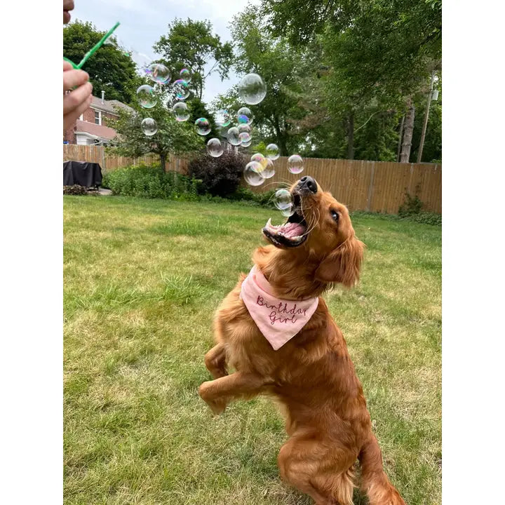 Bubble Treats Pets Peanut Butter Flavored Bubbles