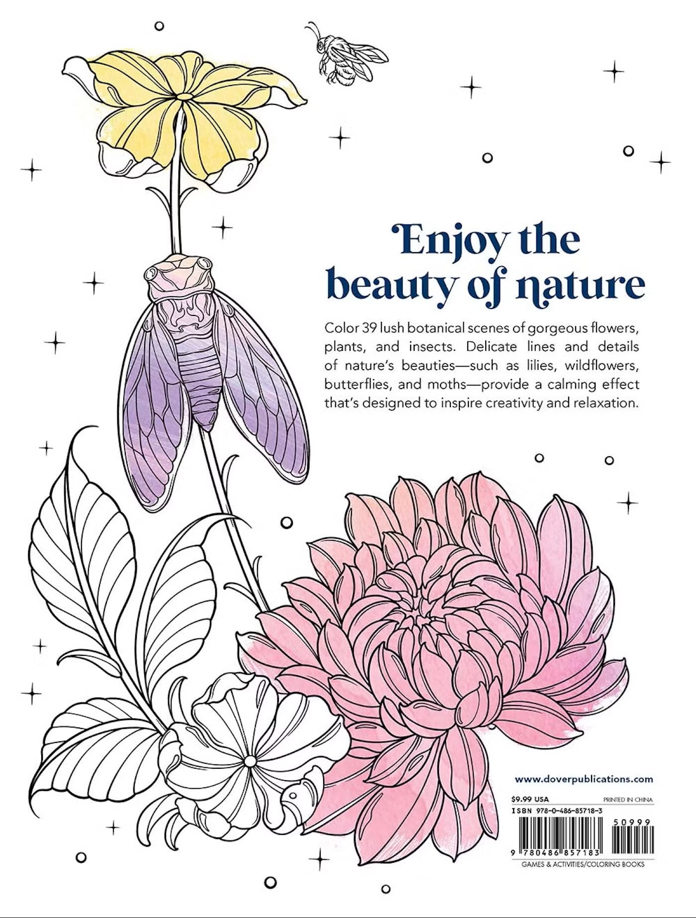Bugs & Blooms A Botanical Coloring Book