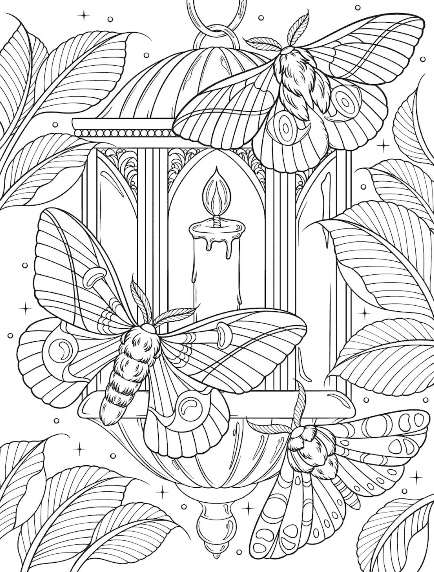 Bugs & Blooms A Botanical Coloring Book