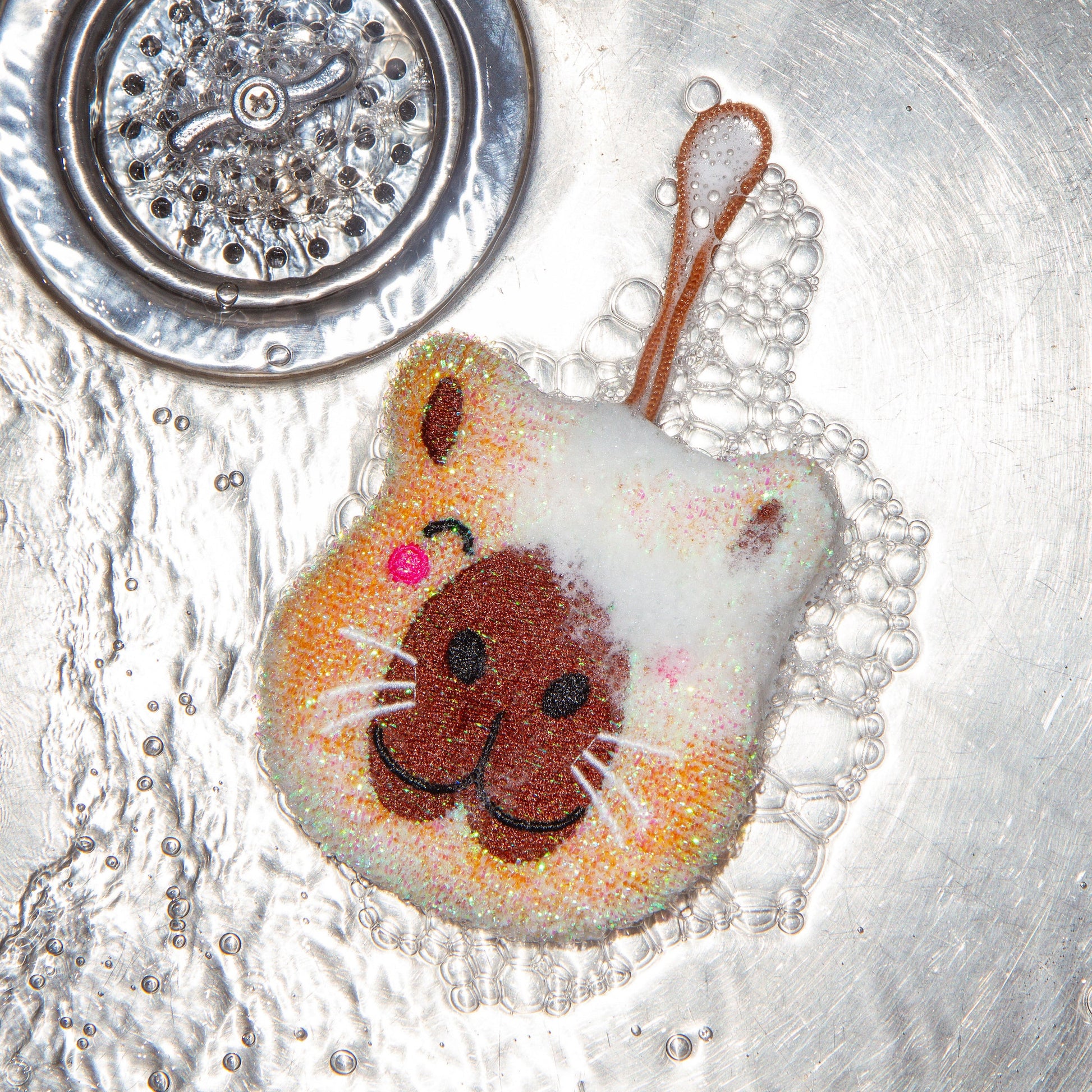 Capybara Scrub Sponge Set Of 2