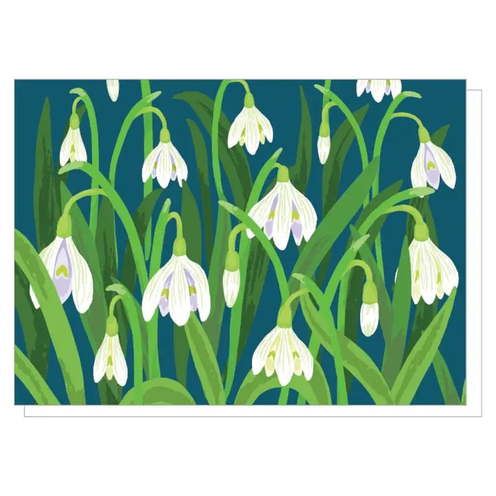 Card Snow Drops