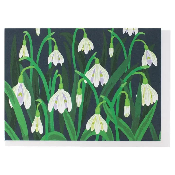 Card Snow Drops
