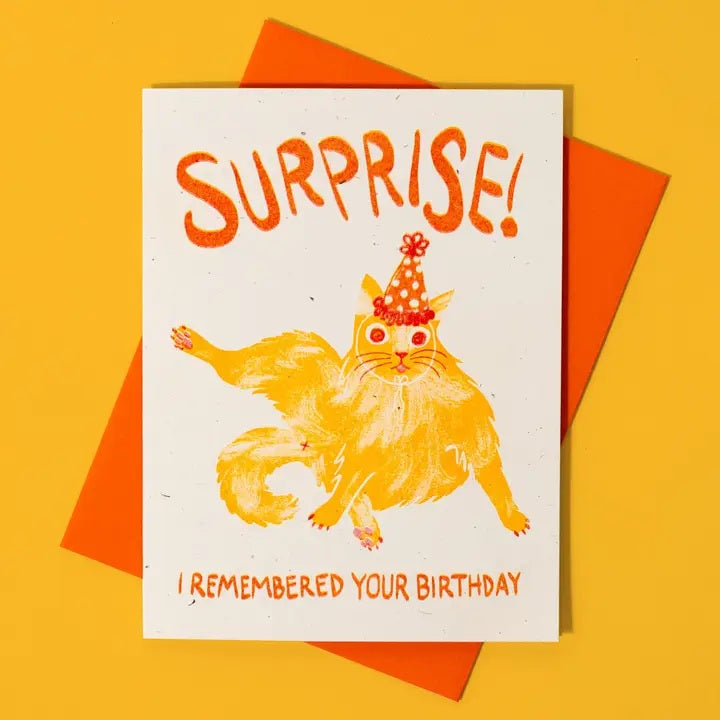 Card Surprise I Remembered Your Birthday Cat