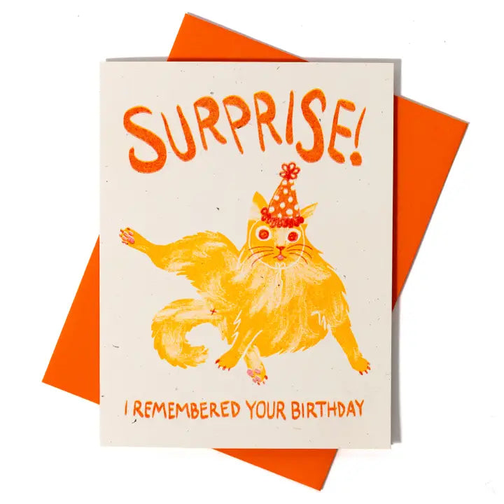 Card Surprise I Remembered Your Birthday Cat