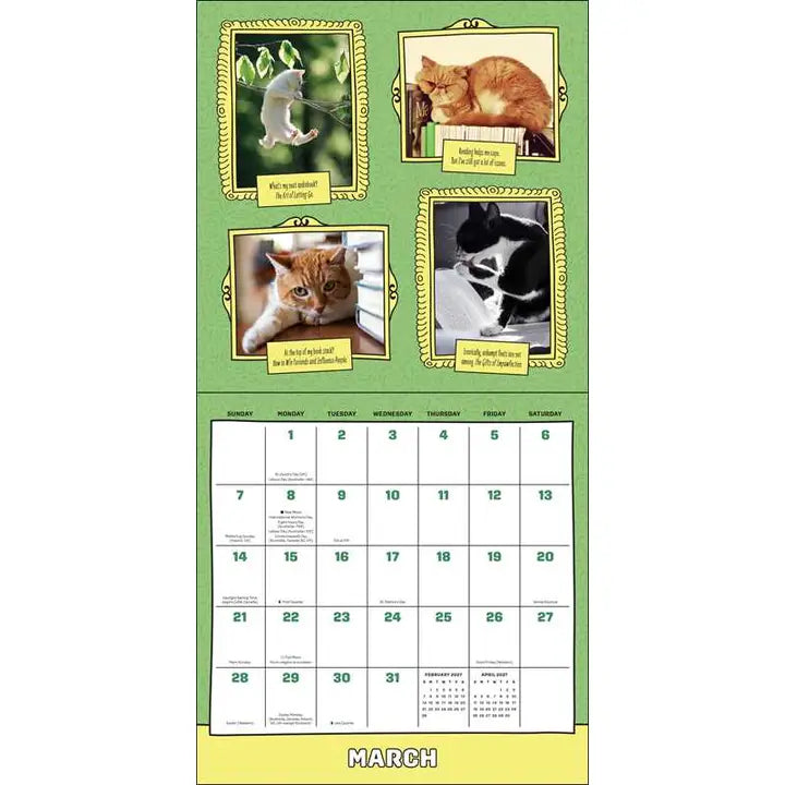 Cats Are Cheaper Than Therapy 2027 Calendar