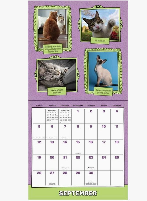 Cats Are Cheaper Than Therapy 2027 Calendar