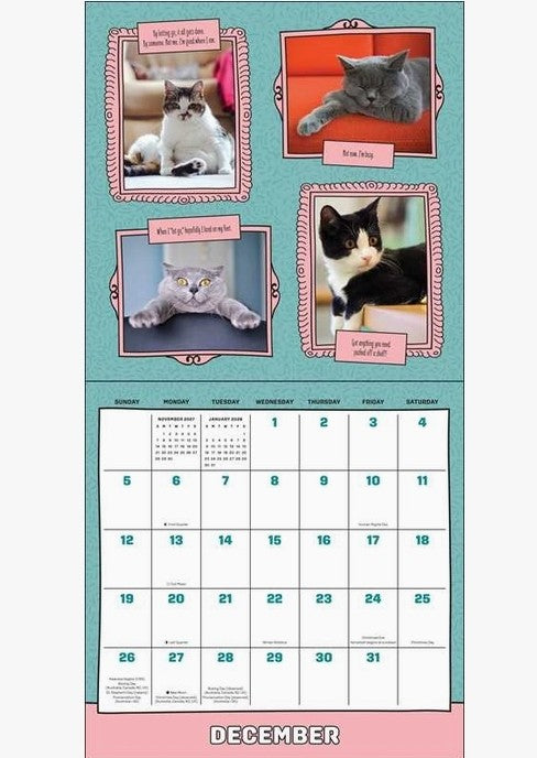 Cats Are Cheaper Than Therapy 2027 Calendar