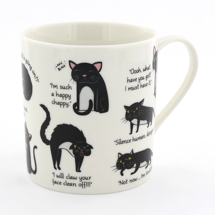 Cattitude Mug