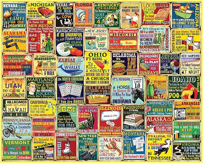 Crazy State Laws Puzzle 1000 pc