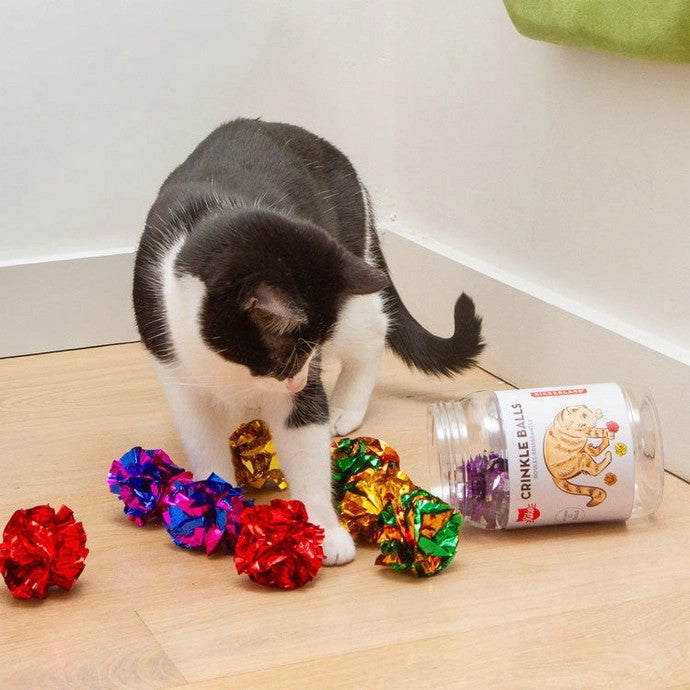Crinkle Balls Cat Toy