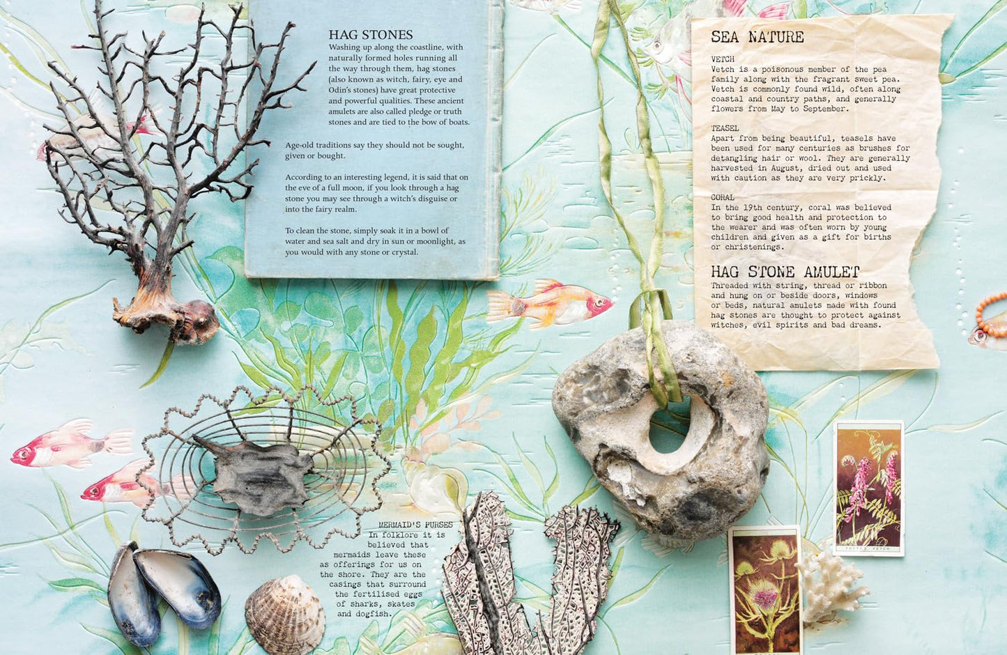 Curiosity Of Folklore, Magic & Spells