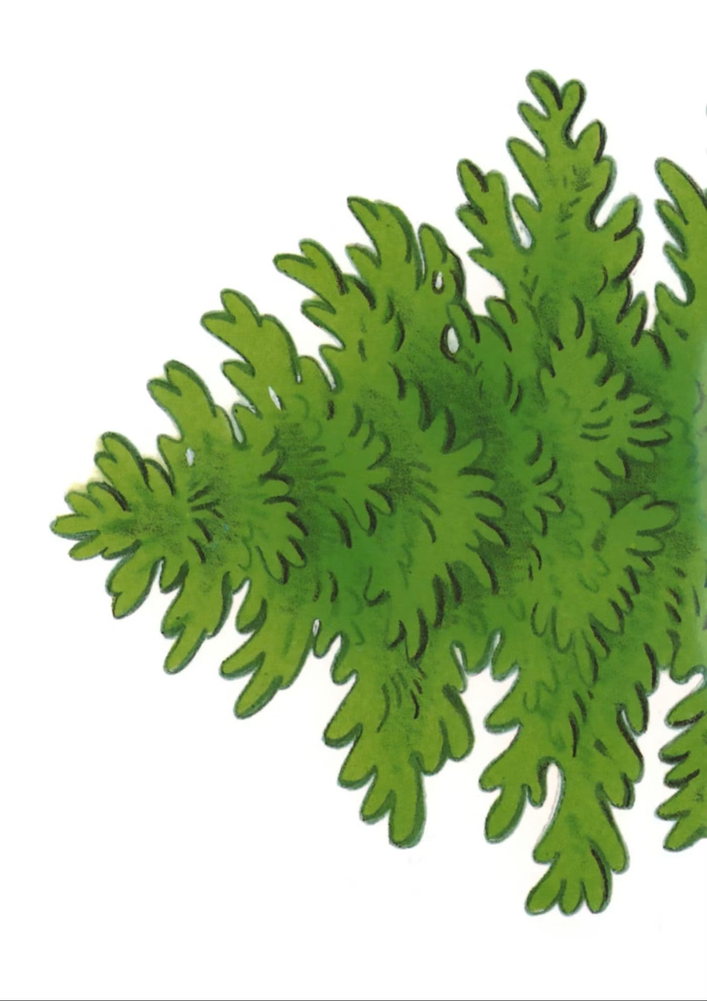 Decorate A Christmas Tree Sticker Activity Book