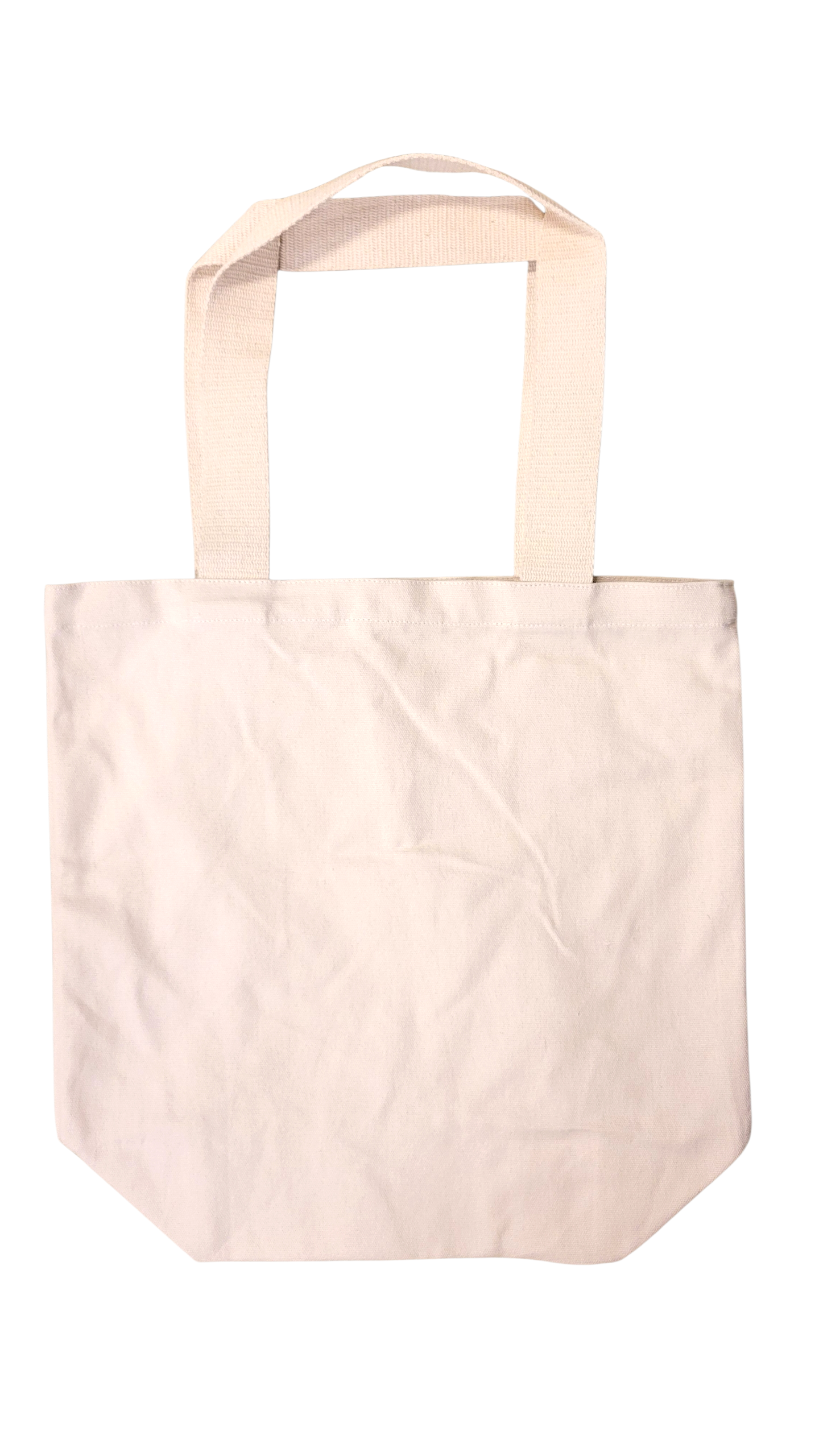 Detroit DTW Luggage Tag Tote