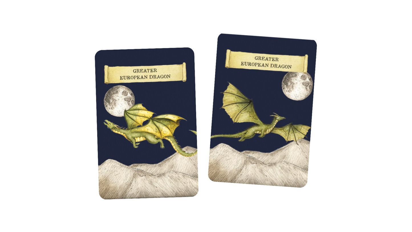 Discover The Dragons Memory Game
