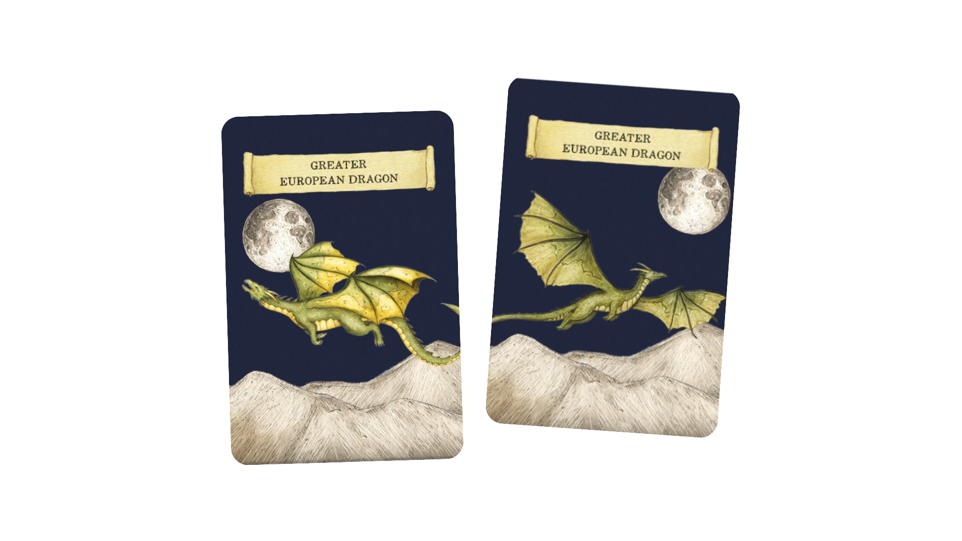 Discover The Dragons Memory Game