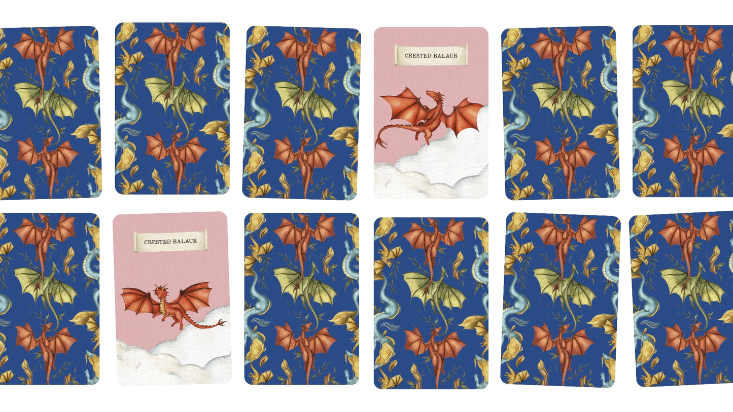 Discover The Dragons Memory Game