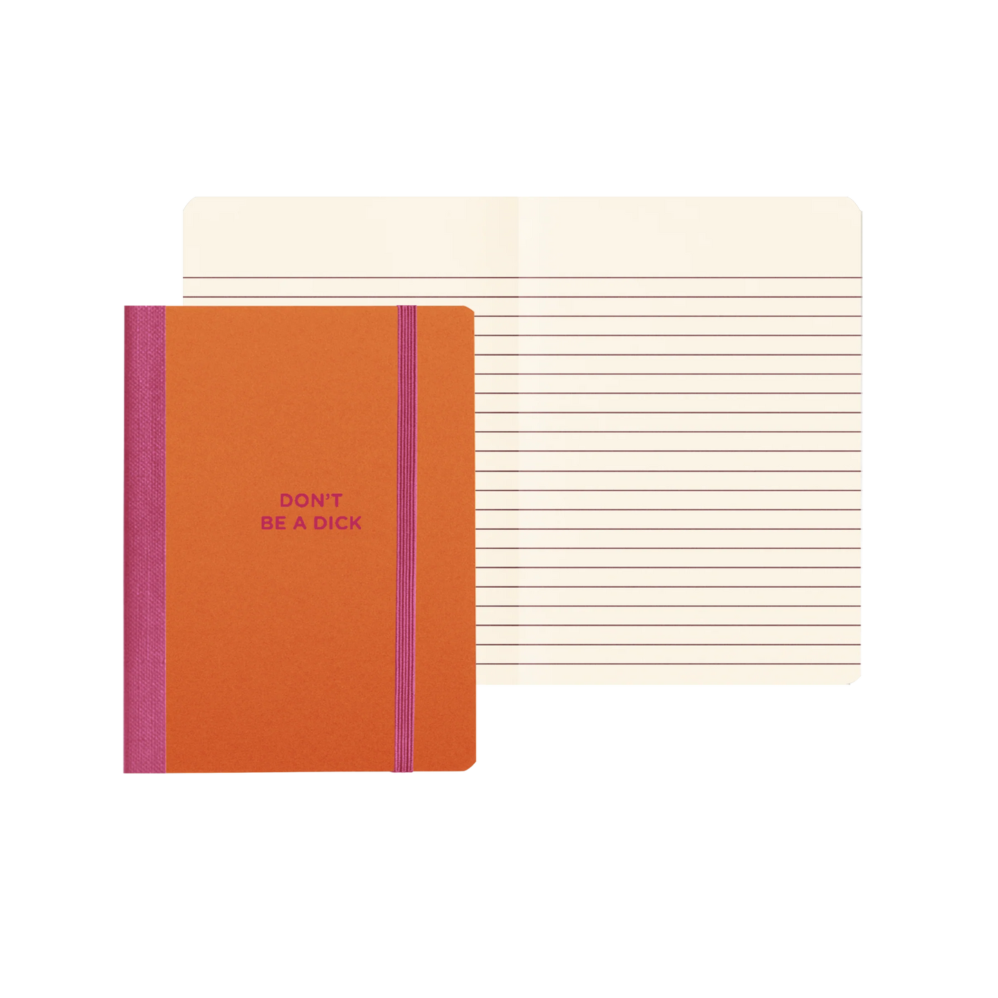 Don't Be A Dick Mini Notebook