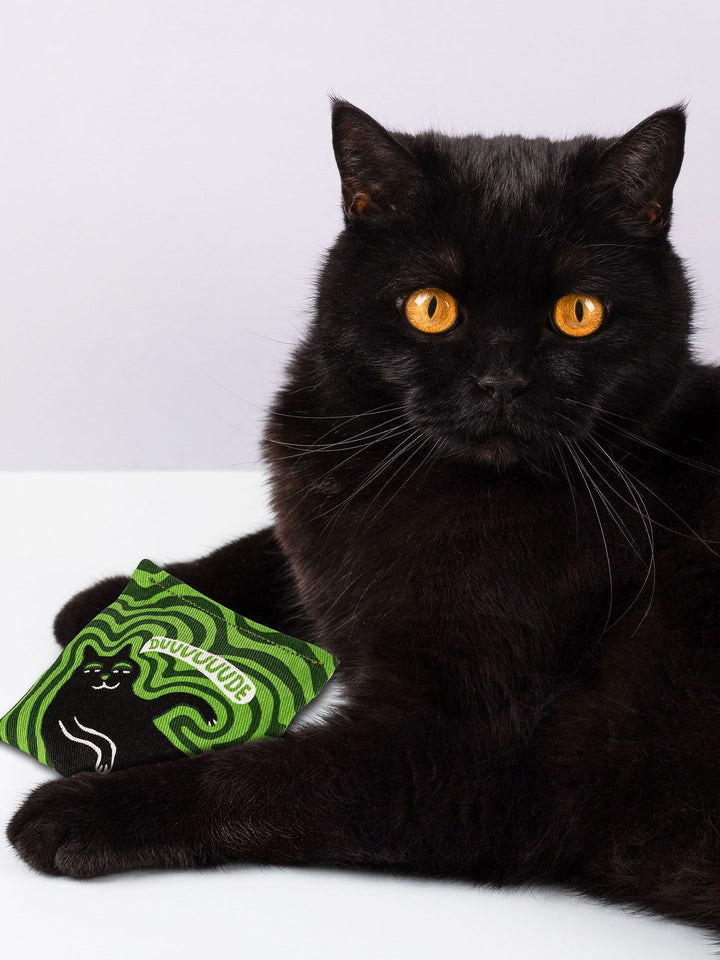Duuuude Catnip Toy