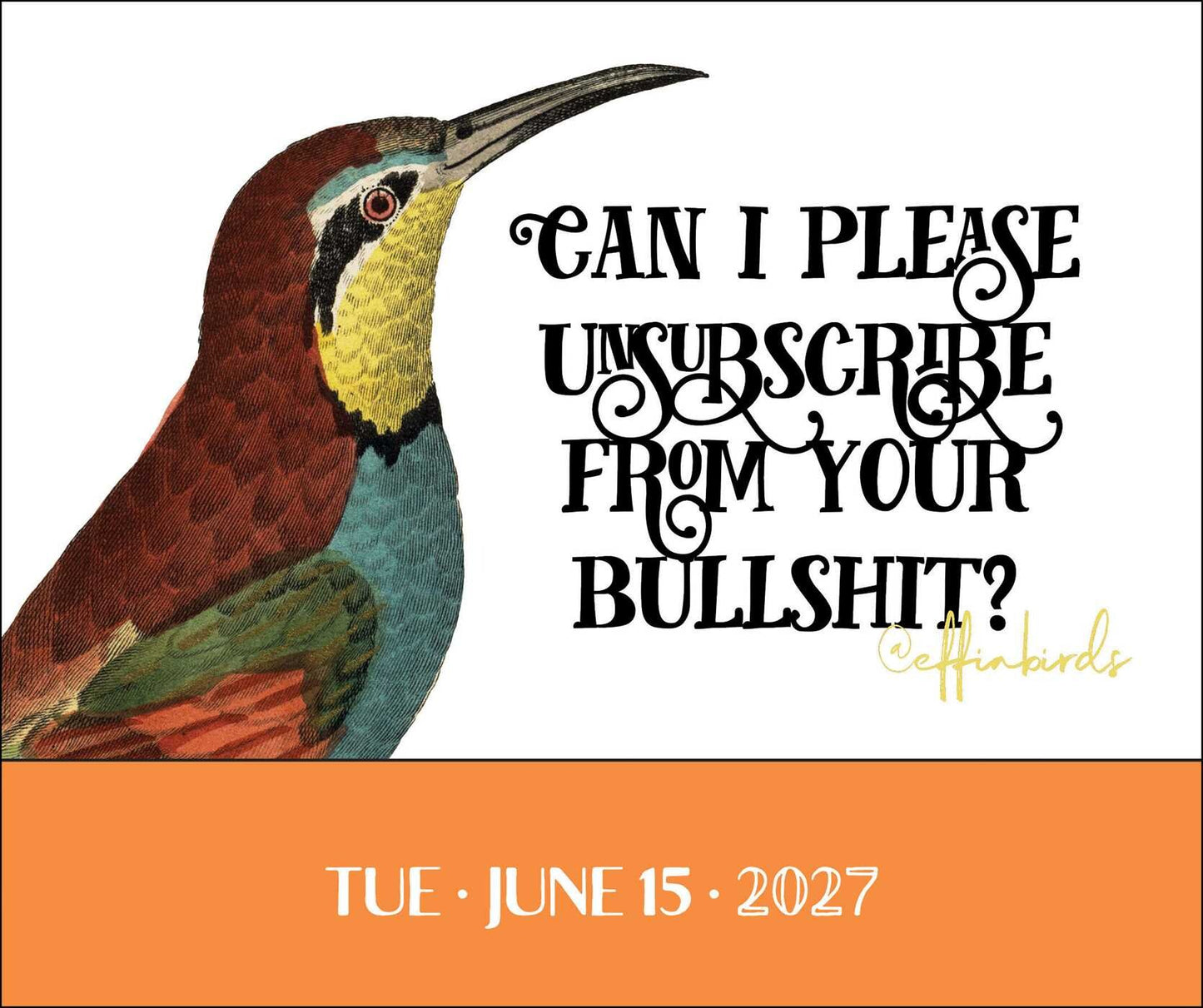 Effin' Birds 2027 Calendar