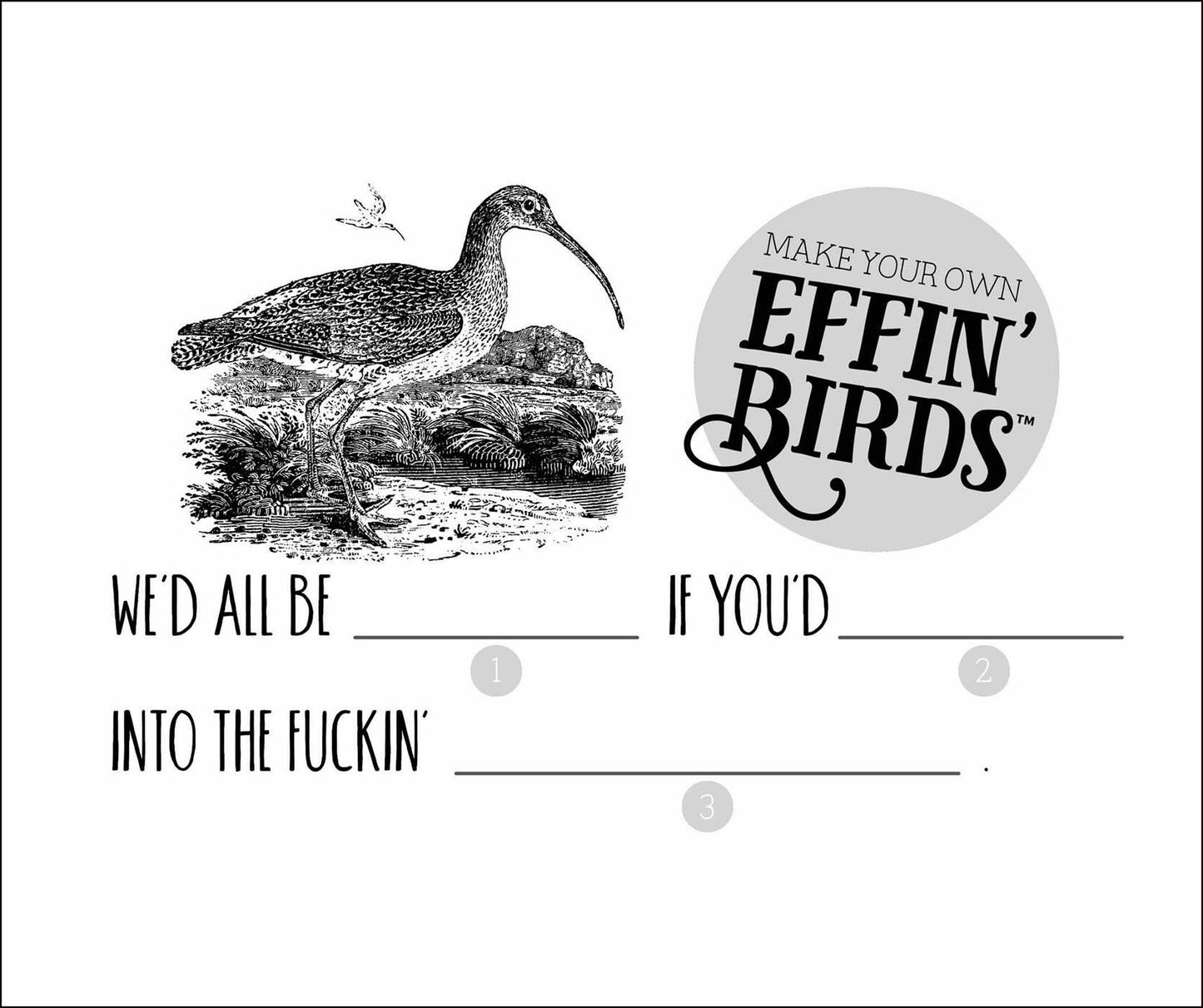 Effin' Birds 2027 Calendar