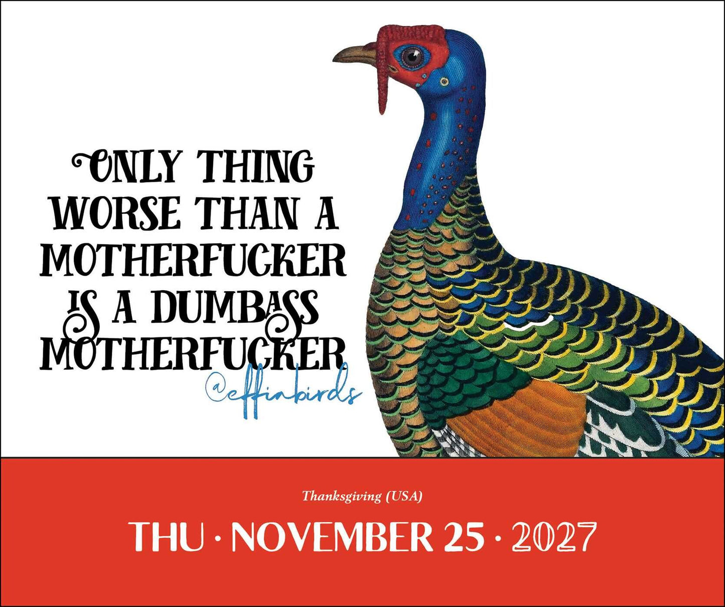 Effin' Birds 2027 Calendar