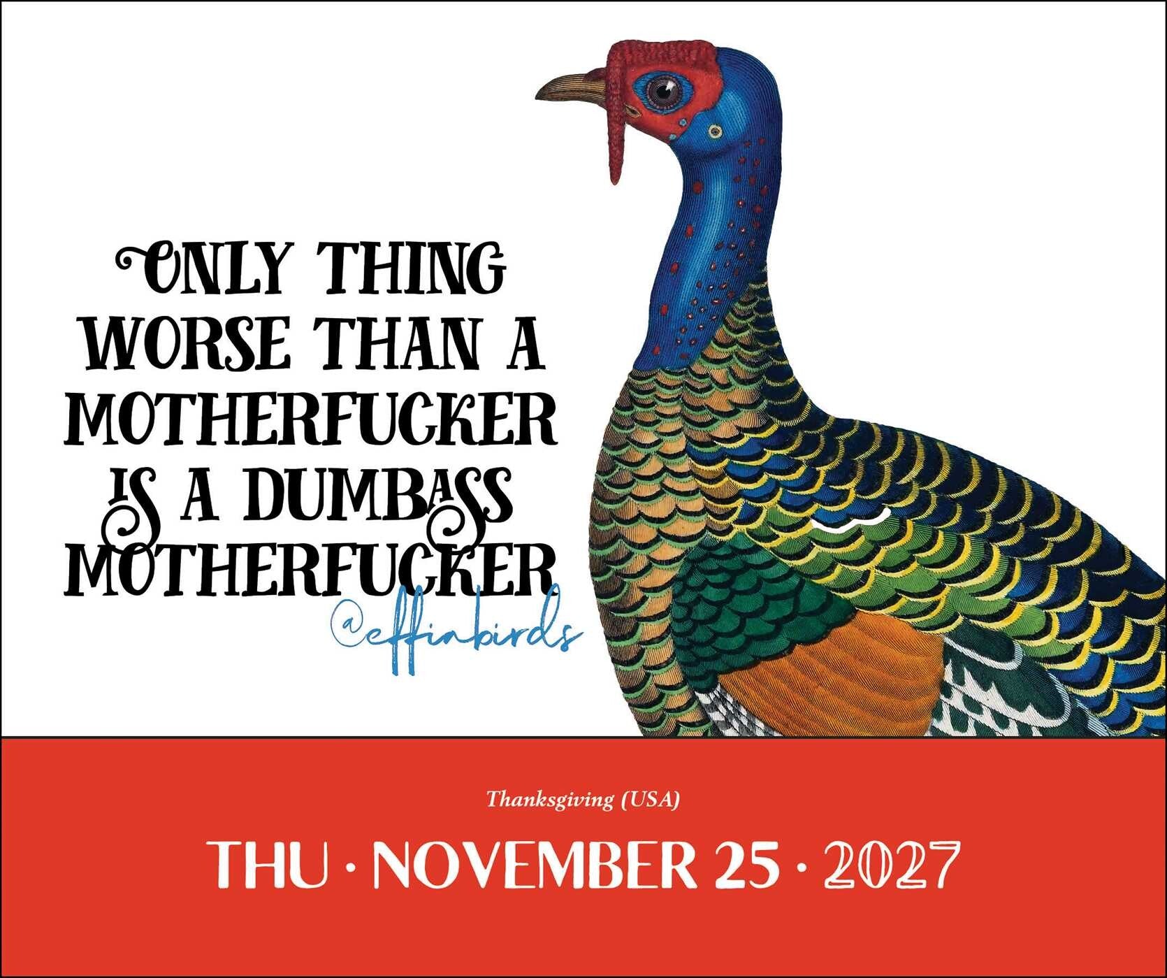 Effin' Birds 2027 Calendar