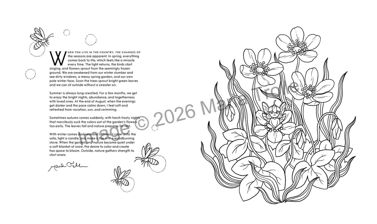 Enchanted Seasons Coloring Book