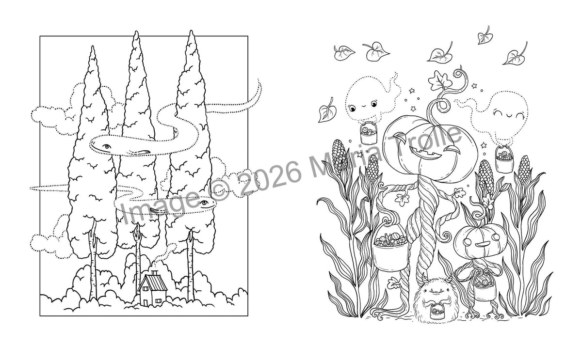 Enchanted Seasons Coloring Book