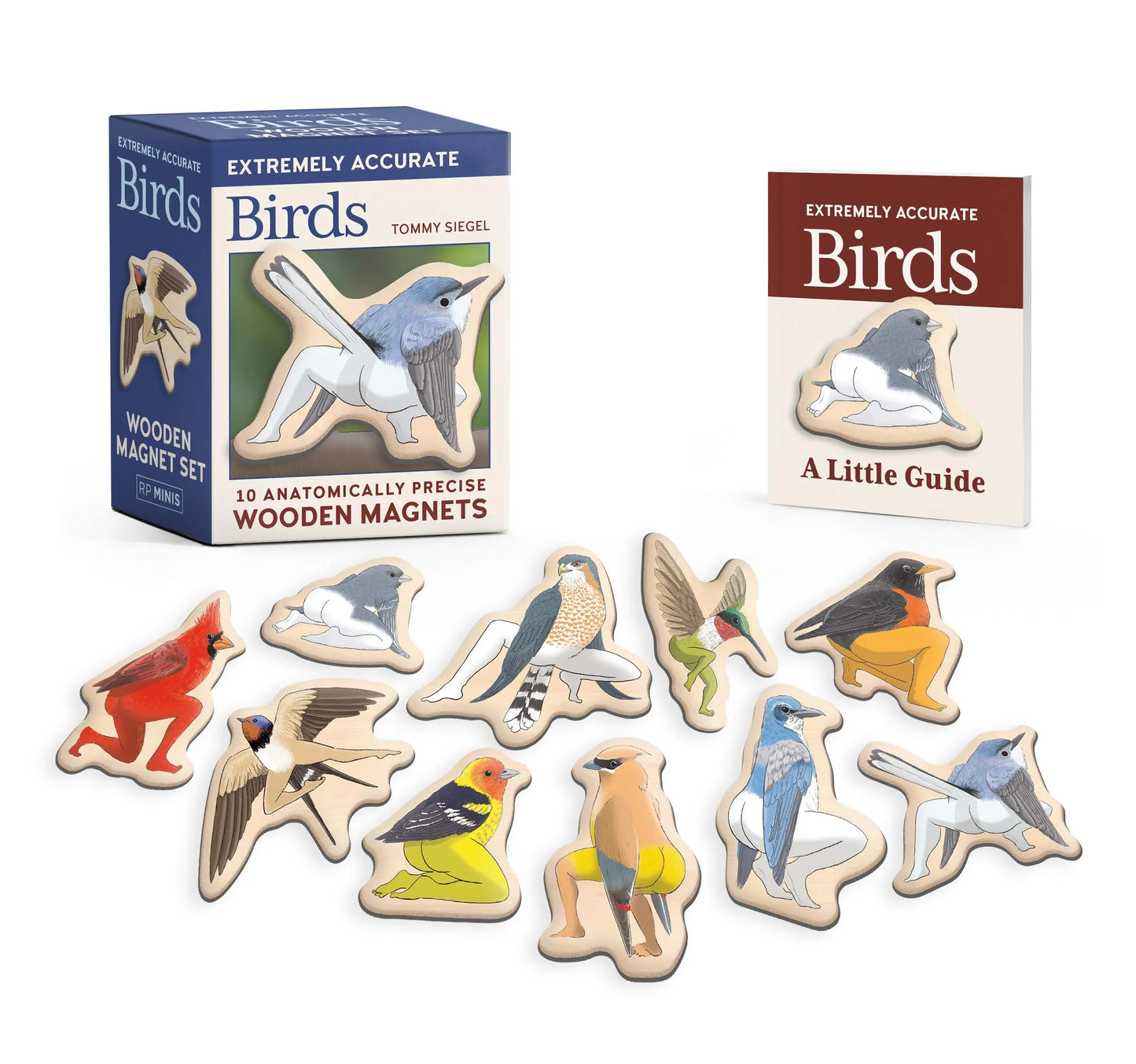 Extremely Accurate Birds Wooden Magnets Kit