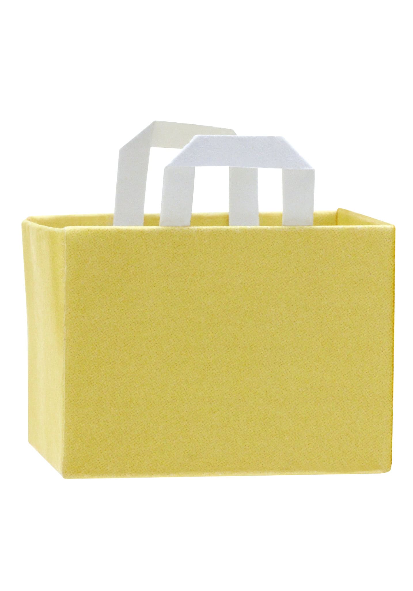Flocked Cats In Paper Bags Blind Box