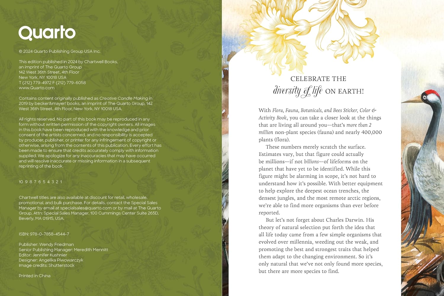 Flora Fauna Botanicals And Bees Sticker Book