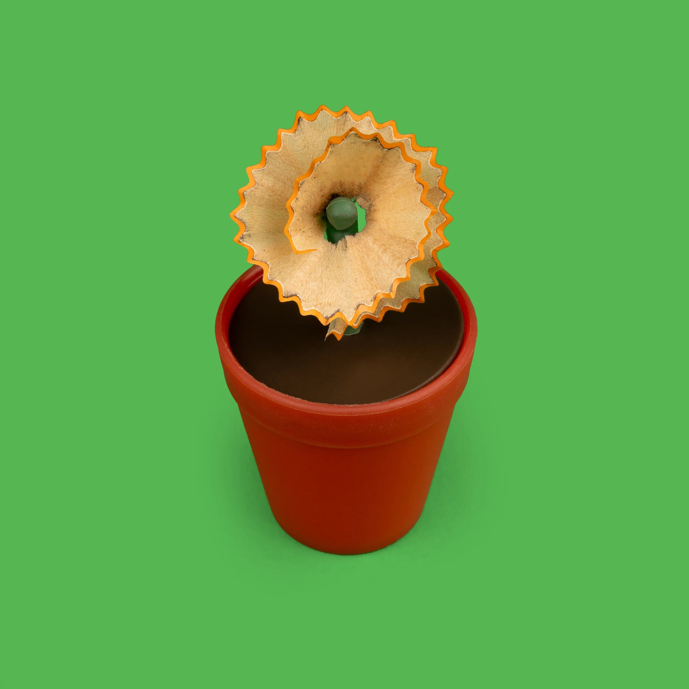 cactus pencil sharpener Flower Pot Pencil Sharpener